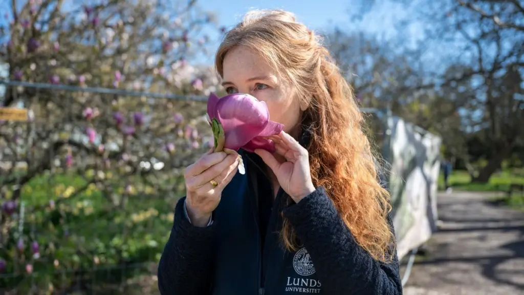 Jardín Botánico de la Universidad de Lund: el truco de Sofie Olofsson para salvar tus plantas