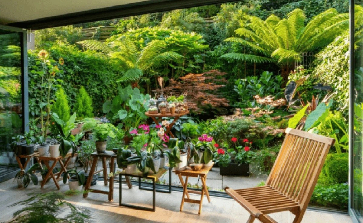 Jardinería bajo el calor: el fertilizante orgánico que retiene 4 veces más agua - image 1