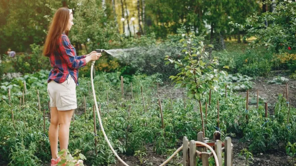 Jardinería inteligente: el truco para ahorrar 50% en el riego este verano