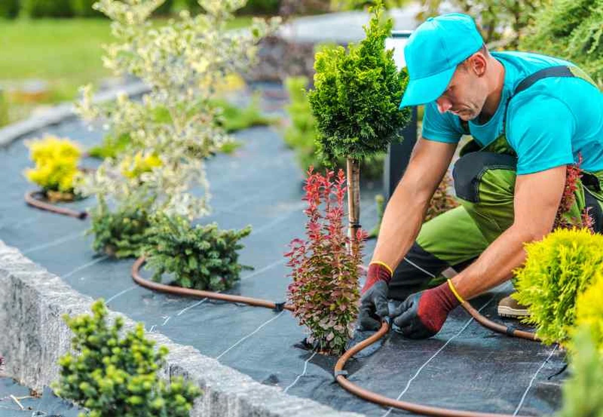 Jardinería profesional: el método de Patricio para facturar un millón con 3 claves - image 1