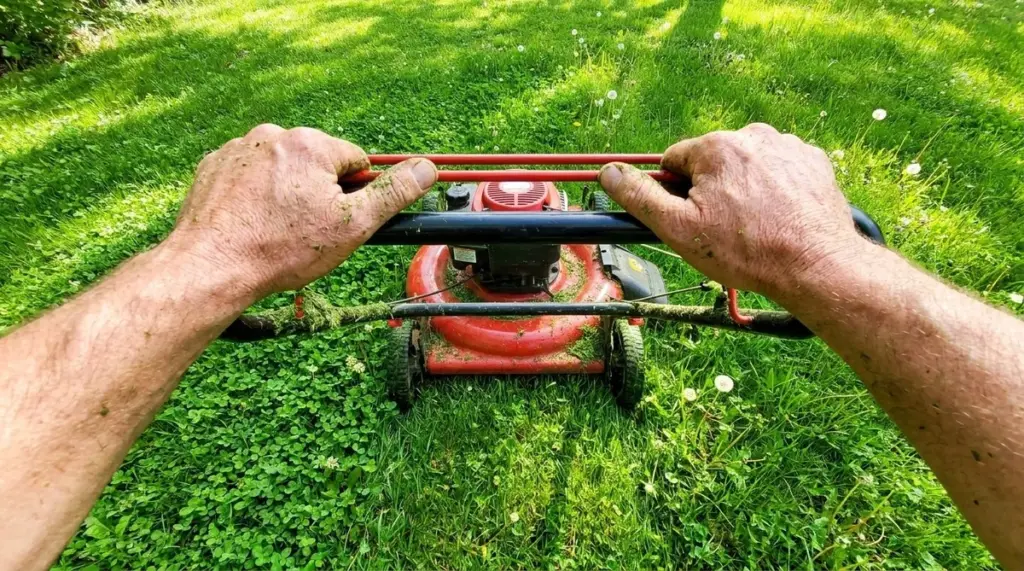 Jardinería sin multas: el método para un césped perfecto que ahorra 750€