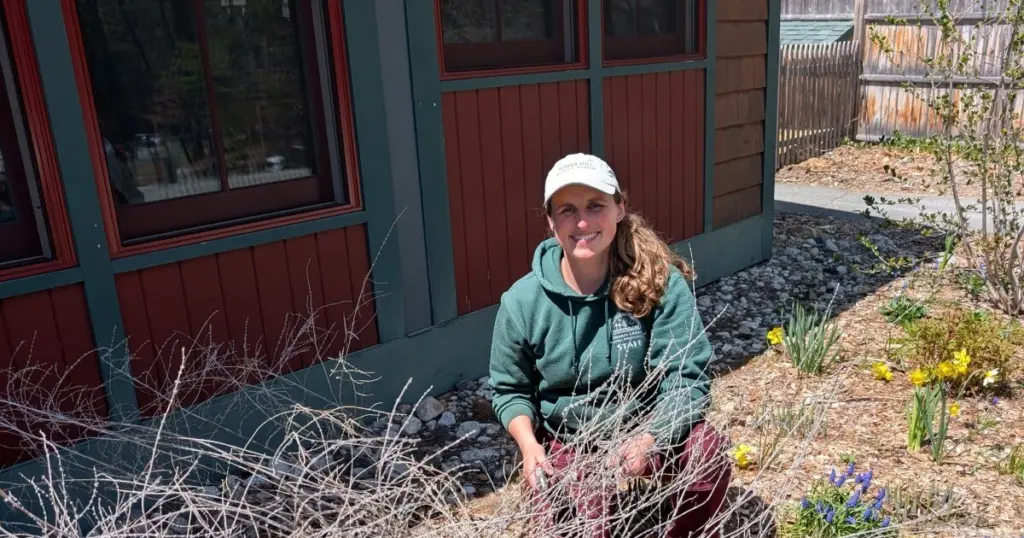 Jardín impecable: el método de Emma Erler (New Hampshire) para este 2026