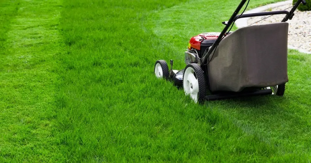 Jardín impecable sin esfuerzo: el Robot cortacésped de Parkside que ahorra agua