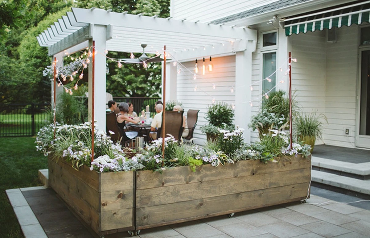 Jardín lunar: el truco para que tus plantas blancas brillen así de noche - image 1