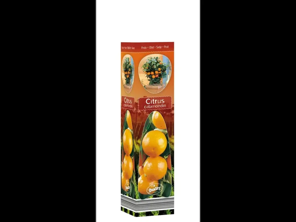 Jardín mediterráneo: el truco de Lidl Plus para ahorrar un 70% de agua