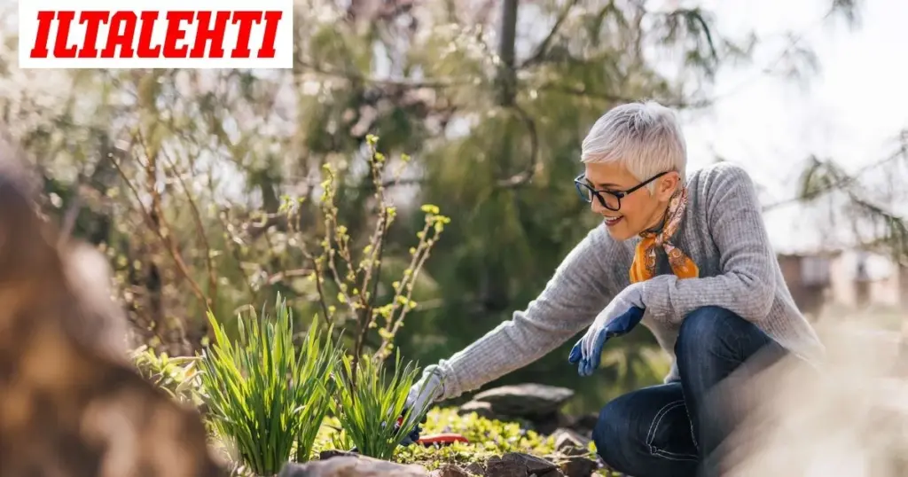 Jardín resistente en mayo: el secreto de Timo Taulavuori contra el calor