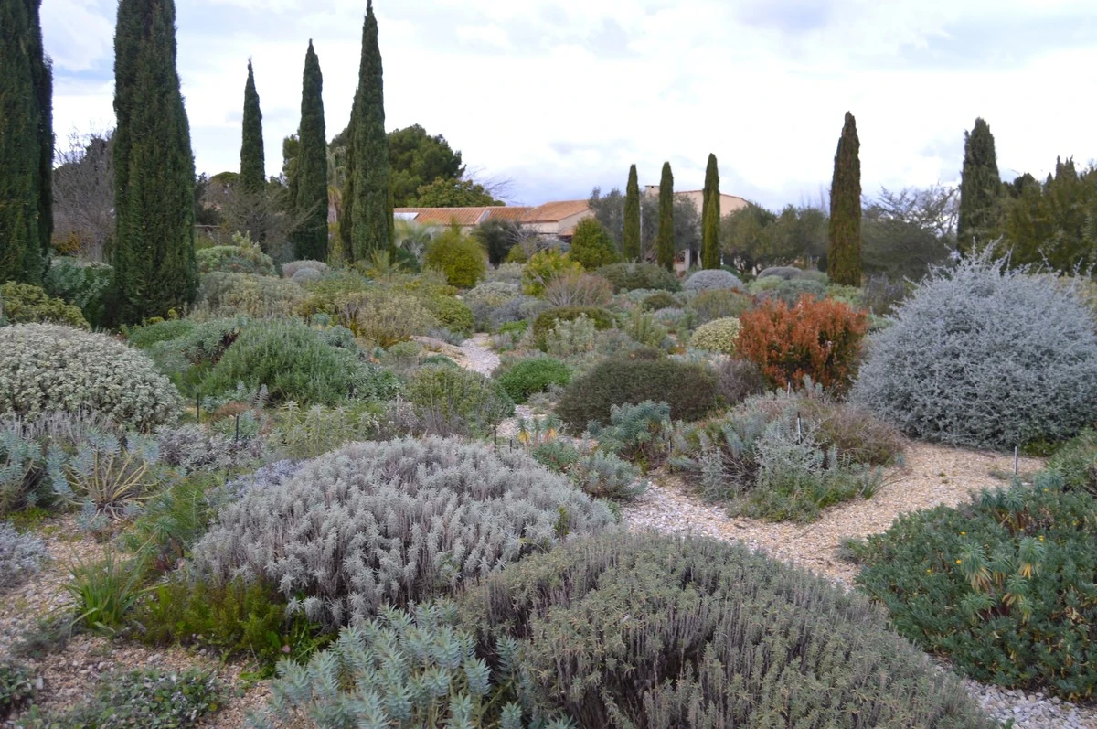 Jardín resistente en mayo: el secreto de Timo Taulavuori contra el calor - image 1
