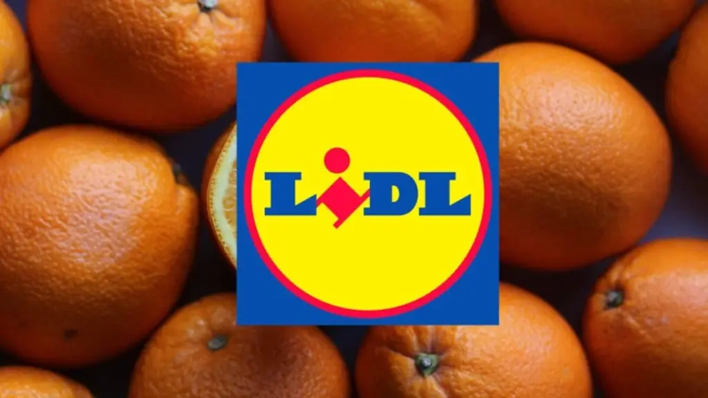 Lidl agota el invento de Silvercrest: el truco para desayunos frescos por 8 euros