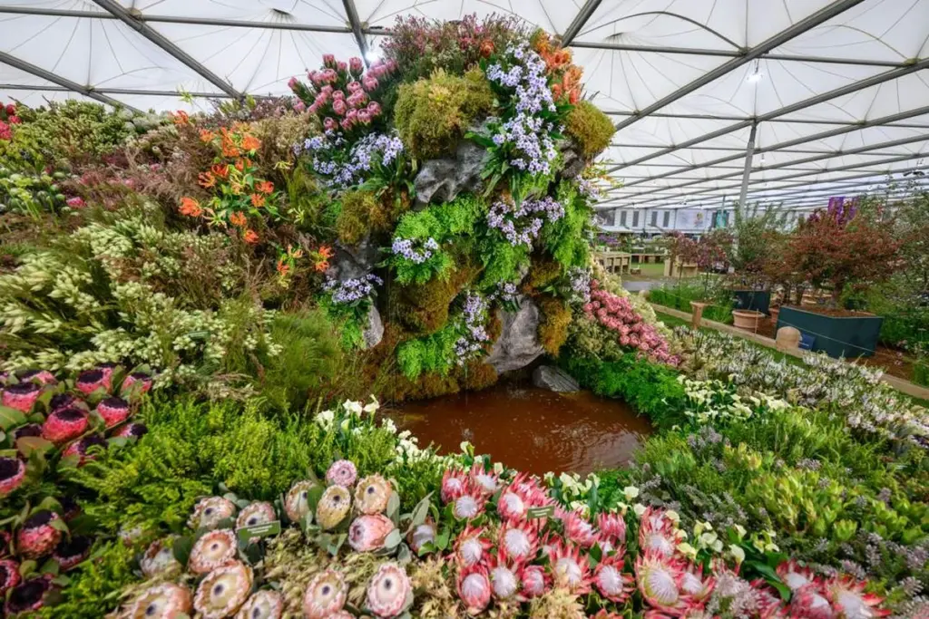 Life After Fire: el método del Chelsea Flower Show para ahorrar 70% de agua