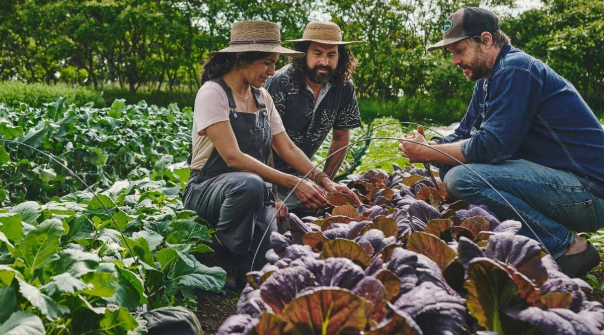 Market Gardening: el método de MajaStina Eriksson para ganar dinero con 400 m² - image 1