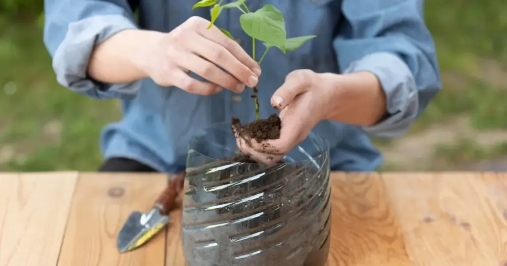 No las tires: la razón para enterrar botellas de plástico en tu jardín