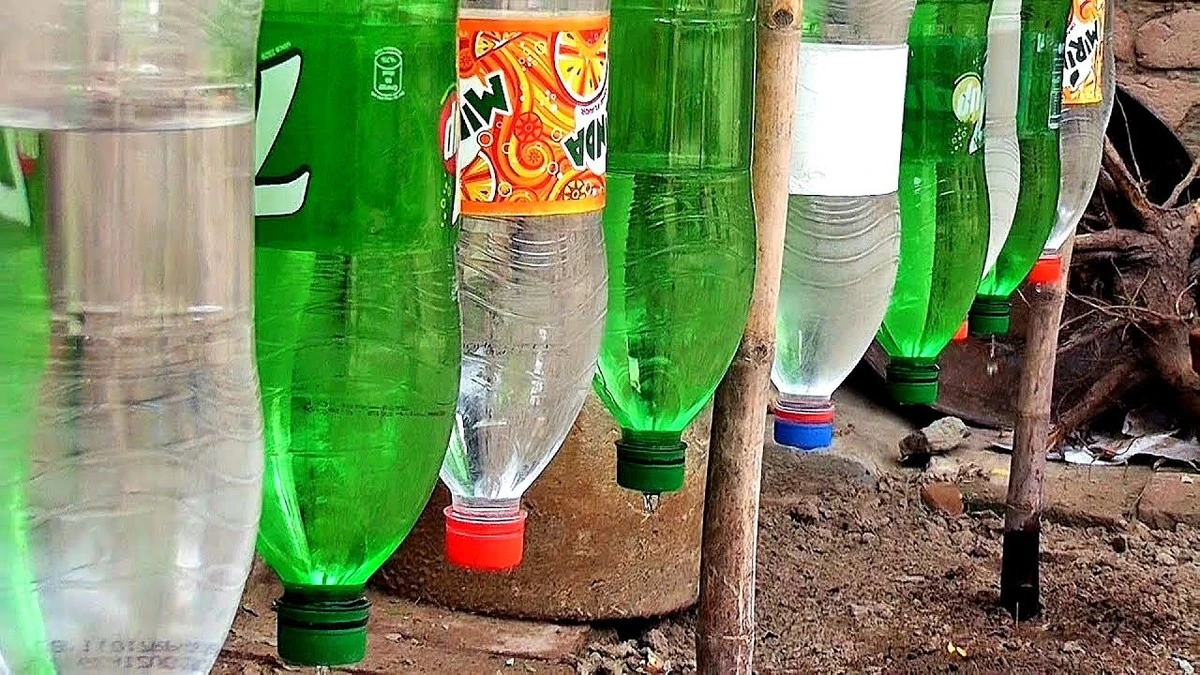 No las tires: la razón para enterrar botellas de plástico en tu jardín - image 1