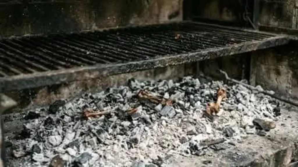 No tires la ceniza de tu asado: el truco para un jardín increíble
