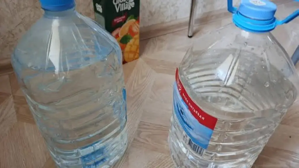 No tires tus botellas de plástico: el truco para ahorrar 80% de agua en tu huerto