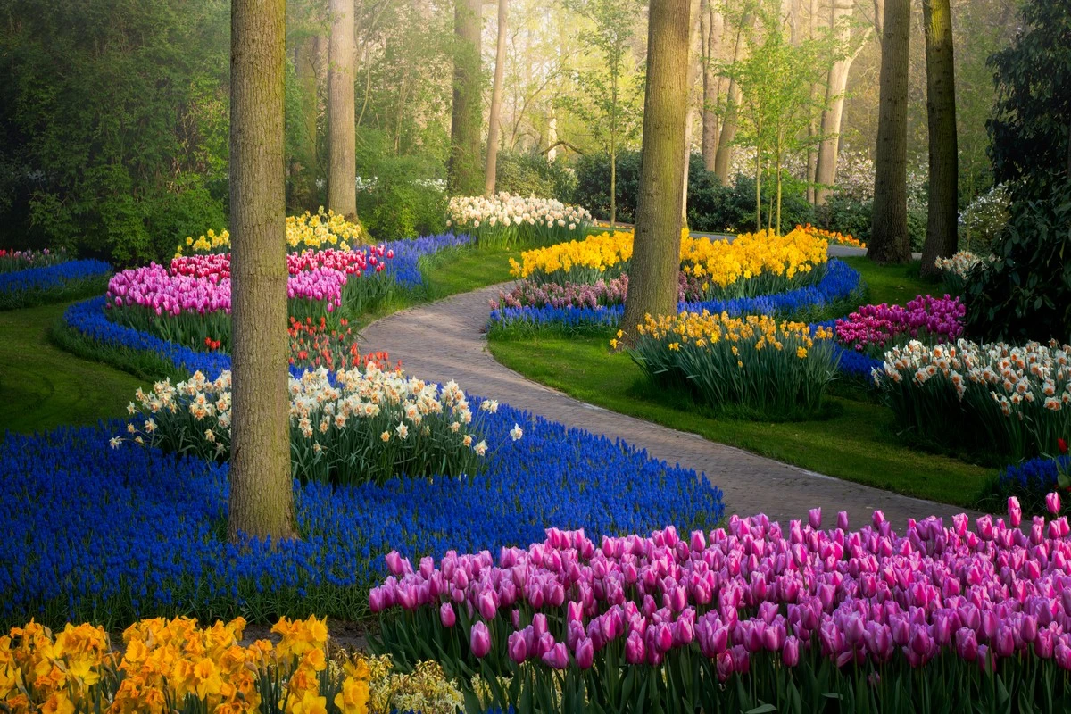 No tires tus Tulipanes: el truco de Monty Don para que vuelvan más fuertes - image 1