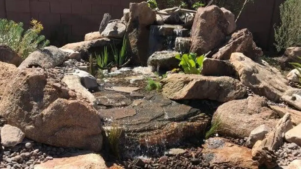 Oasis en Arizona: el truco para ahorrar un 20% en conservación del agua