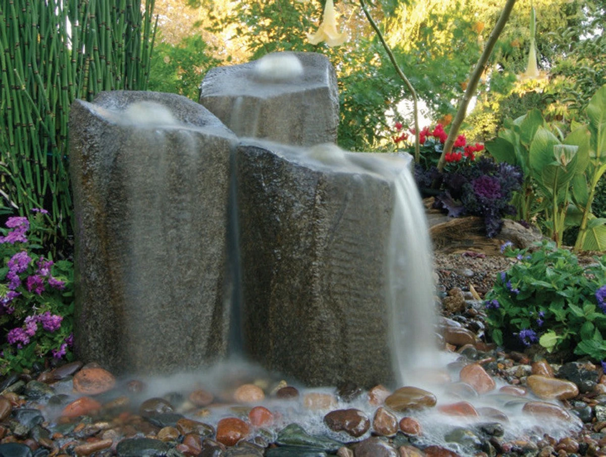 Oasis en Arizona: el truco para ahorrar un 20% en conservación del agua - image 1