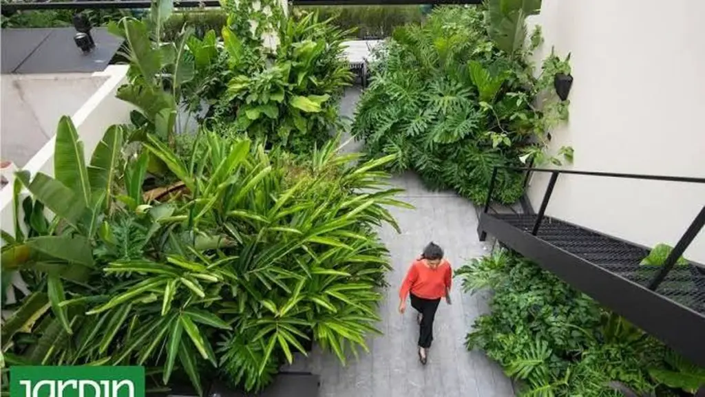 Paisajismo inteligente: el truco para un jardín verde con 40% menos de agua