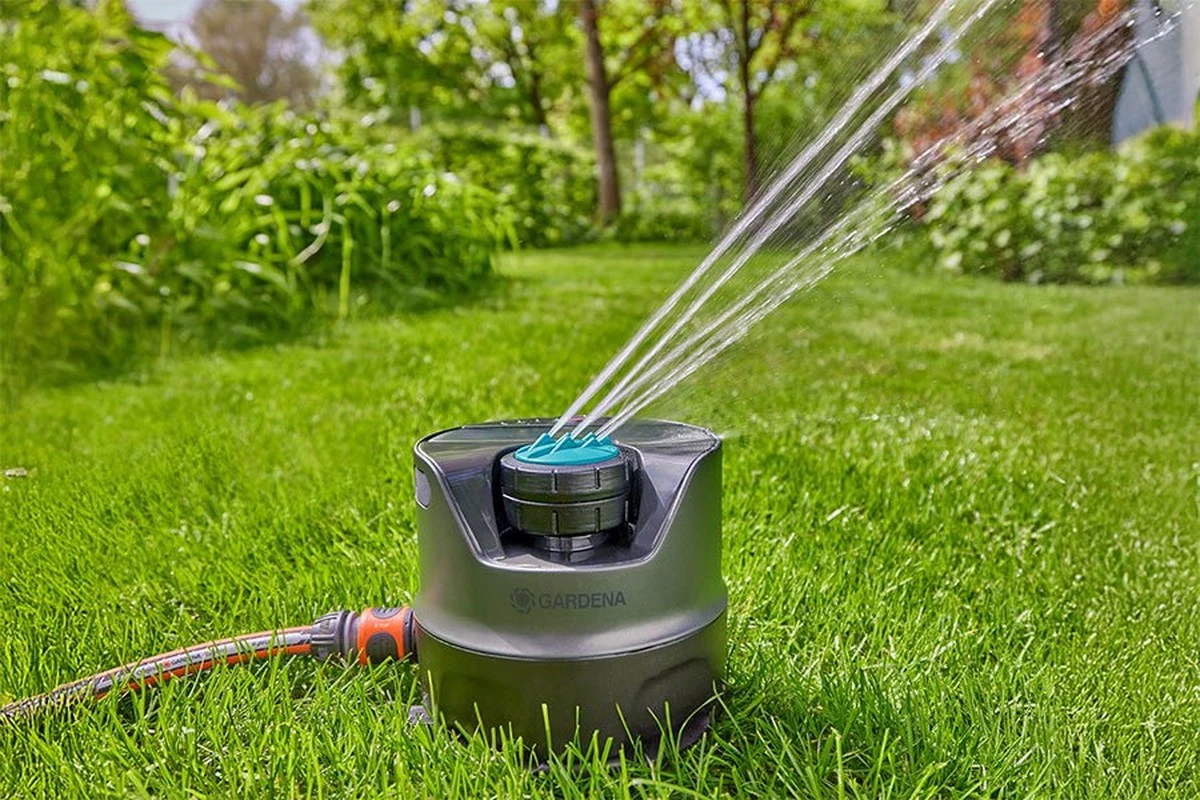 Paisajismo inteligente: el truco para un jardín verde con 40% menos de agua - image 1