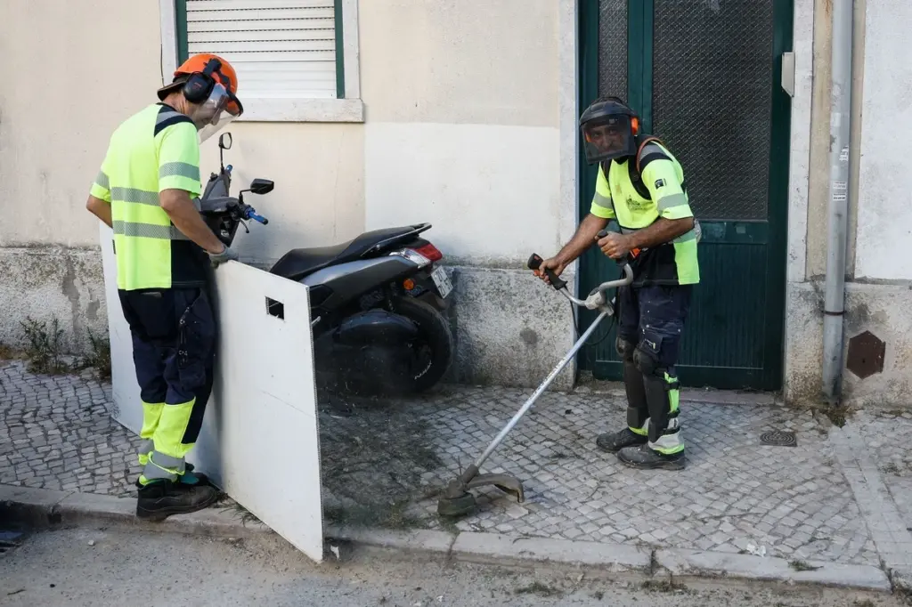 Peligro en tu calle: por qué ya no confío en los Herbicidas (Pesticidas) de Portugal