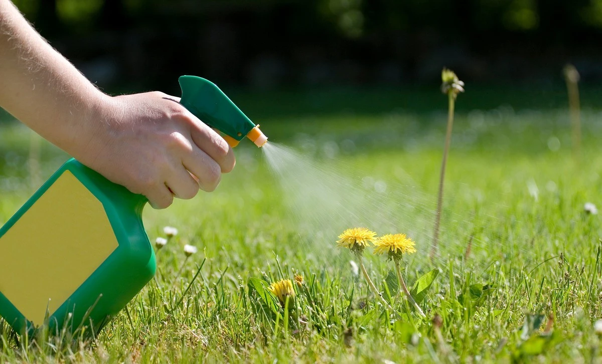 Peligro en tu calle: por qué ya no confío en los Herbicidas (Pesticidas) de Portugal - image 1