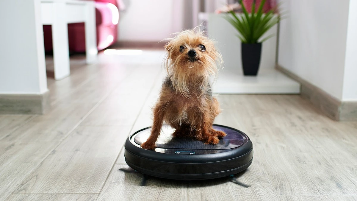 Pelos de mascota: Xiaomi Robot Vacuum S40C o Roborock Q7 L5 para tu suelo - image 1
