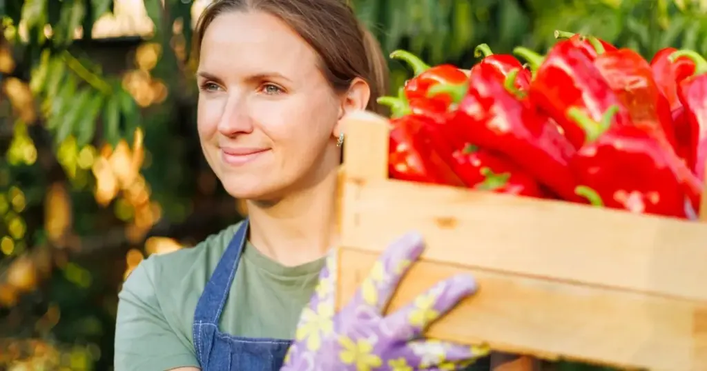 Pimientos sin Pulgones: el truco de la planta vecina para un huerto blindado