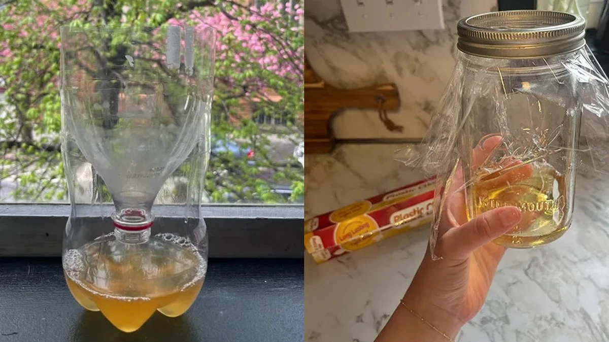 Plaga de barrenador de frutas: mi trampa para moscas de la fruta por 1€ - image 1
