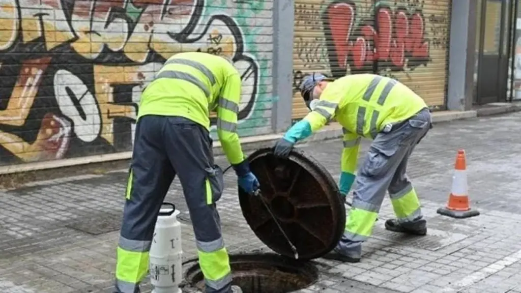 Plagas en Badalona: el plan del Ayuntamiento para blindar tu casa este verano