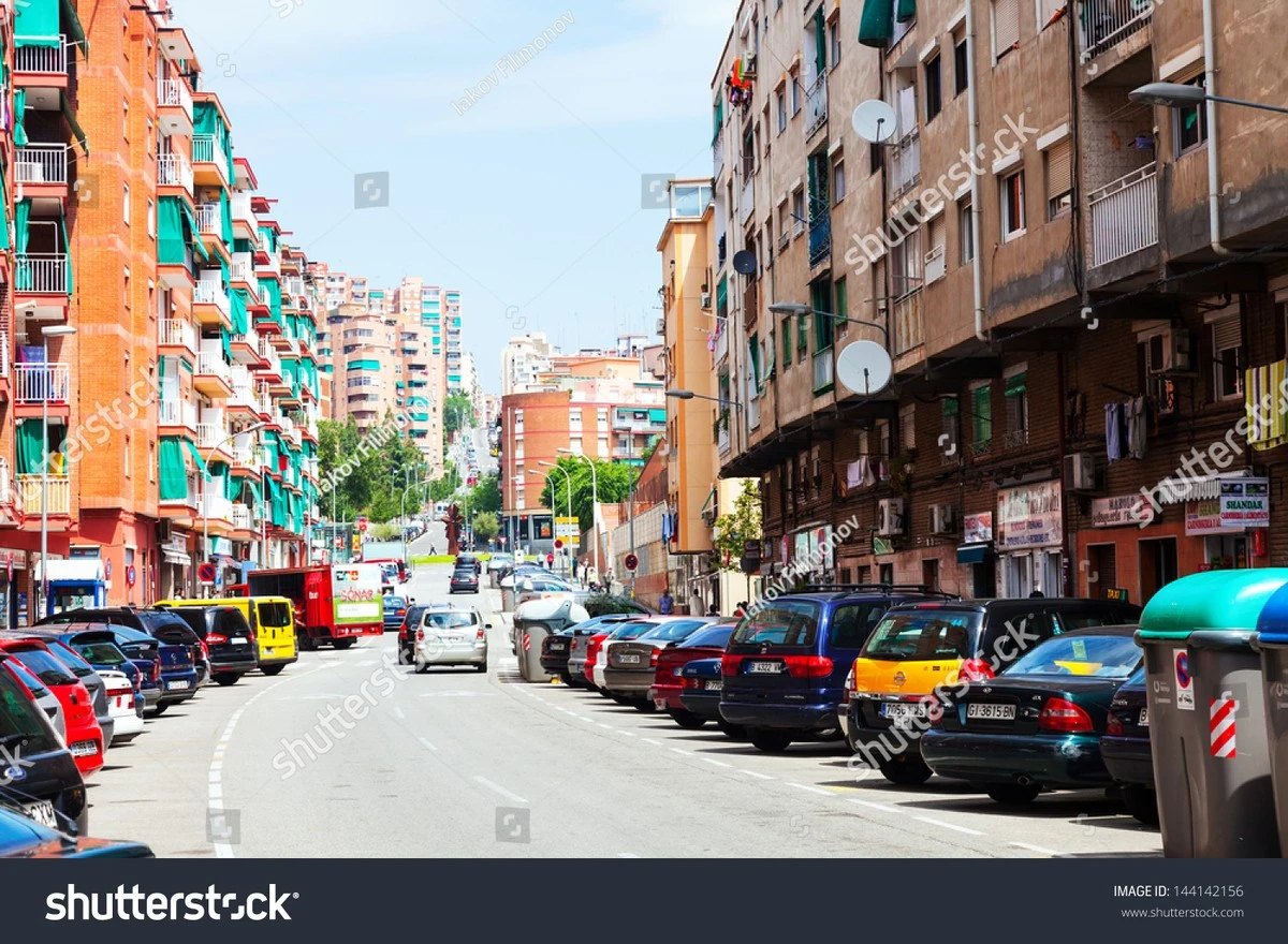 Plagas en Badalona: el plan del Ayuntamiento para blindar tu casa este verano - image 1