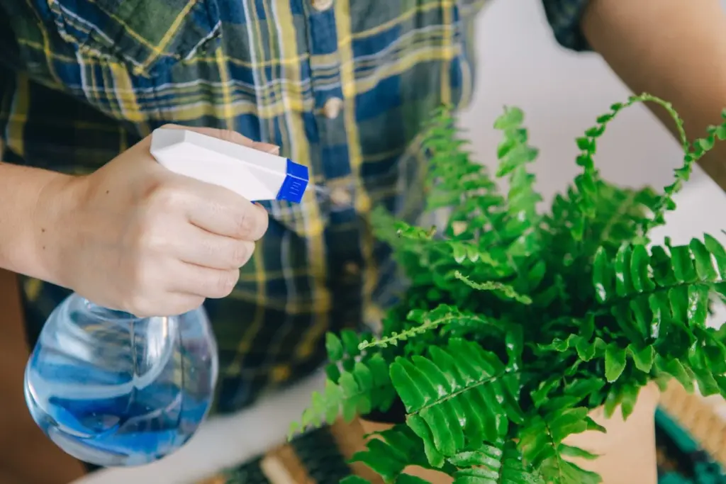 Plantas de interior a salvo: el truco de la toalla para un riego perfecto
