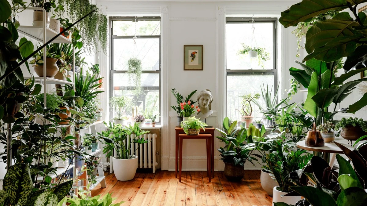 Plantas de interior inmortales: 6 plantas de bajo mantenimiento que no mueren - image 1