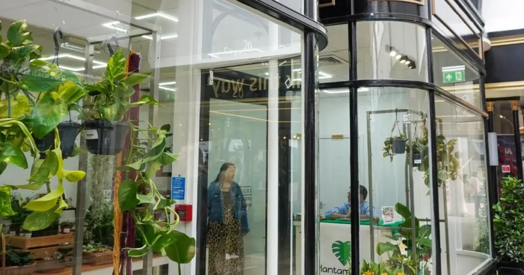 Plantas en casa: el truco de Worcester y Plantamamita para un oasis interior
