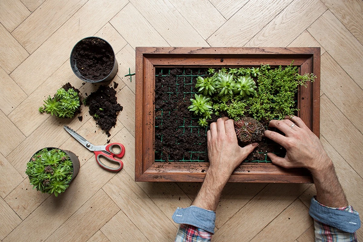 Plantas en marco: el truco DIY para refrescar tu pared en 5 minutos - image 1