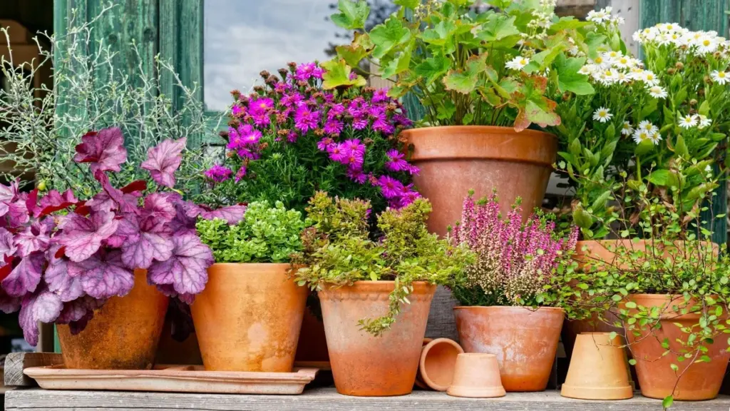 Plantas perennes: las 8 especies para una jardinería en contenedores eterna