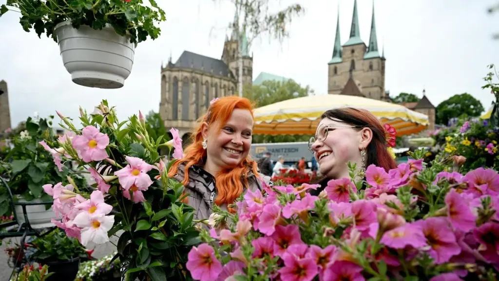 Plaza de la Catedral: el truco experto para que tus plantas no mueran