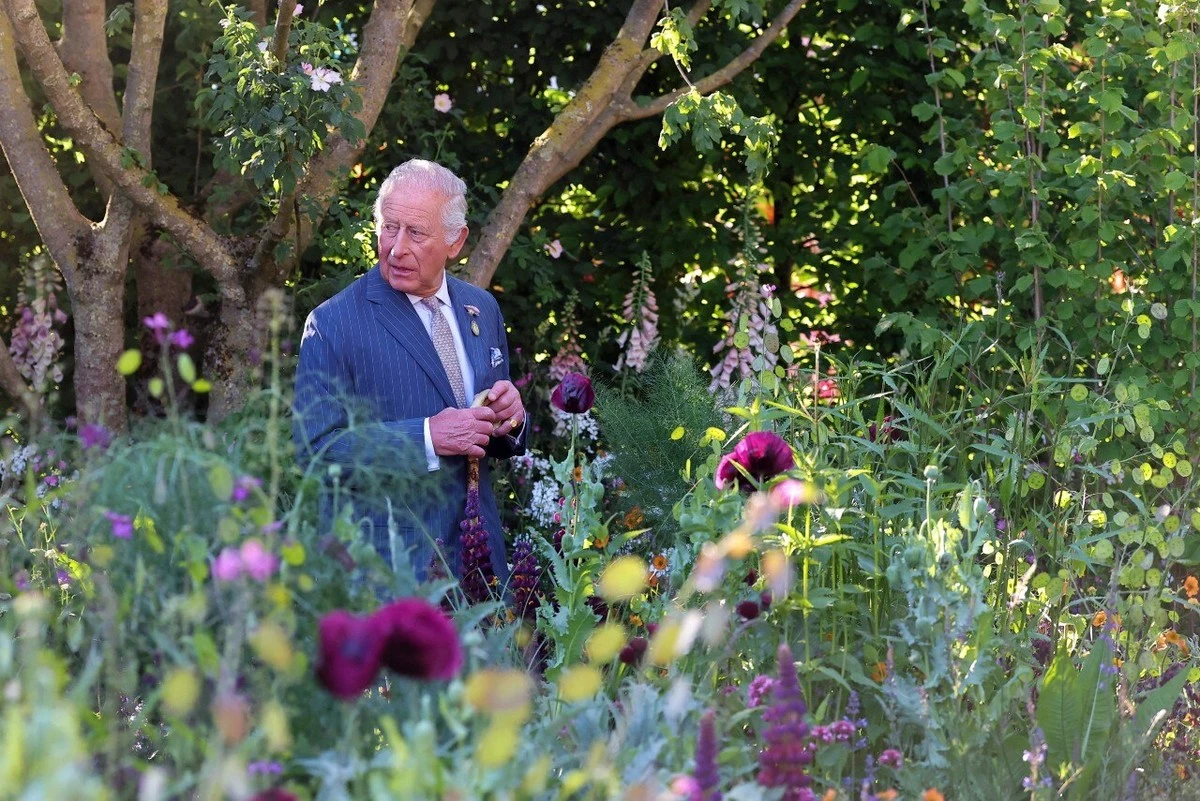 RHS Chelsea Flower Show: la orquídea prohibida que GrowTropicals salvó - image 1