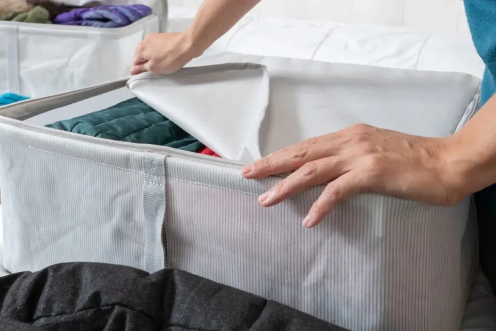 Ropa de invierno en el armario: el error que atrae polillas y manchas