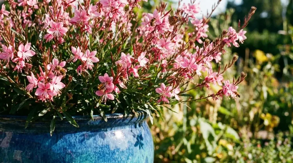 Rosal y Peonía: el truco de experto para que no mueran por el calor