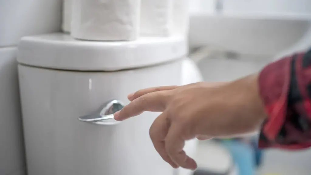 Tanque de inodoro: por qué pongo una botella de plástico para ahorrar agua