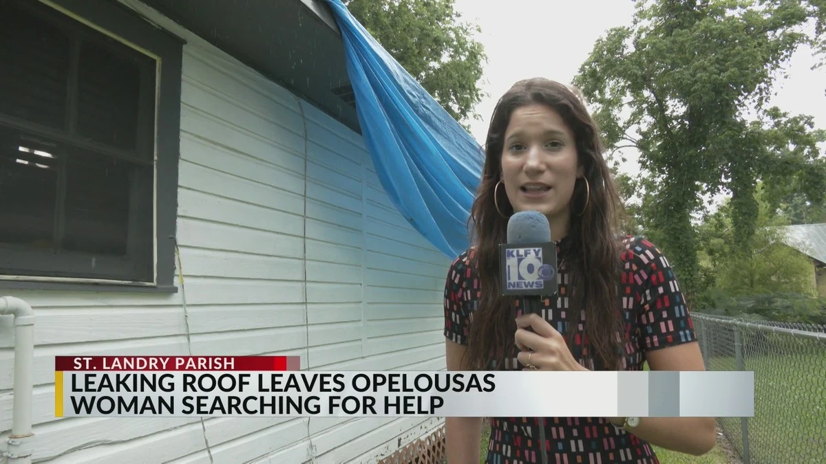 Tejado de 10.000€ y goteras: el drama de Vanessa Crawford en Opelousas - image 1