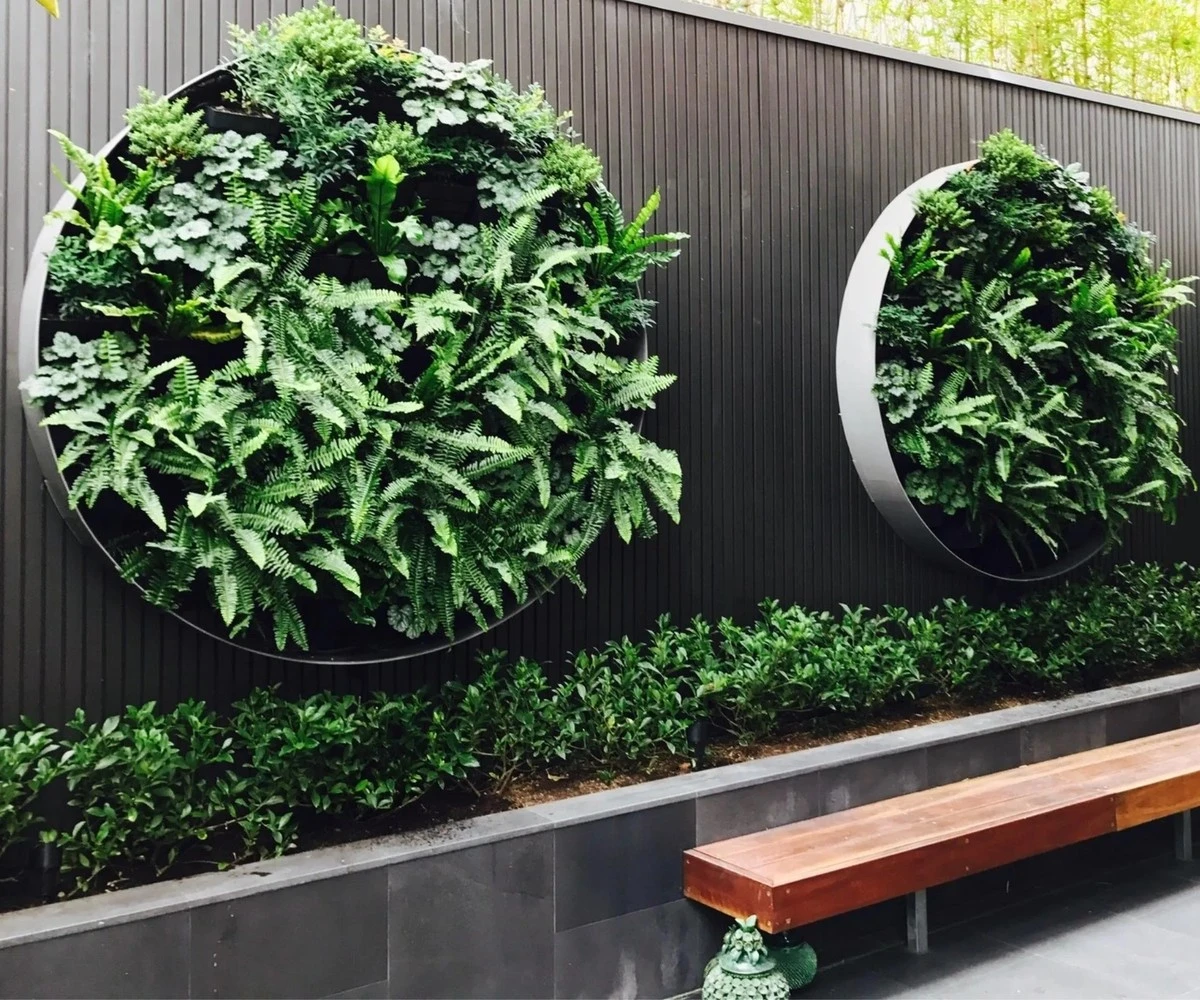 Tu valla u oasis: el truco para un jardín privado por poco dinero - image 1