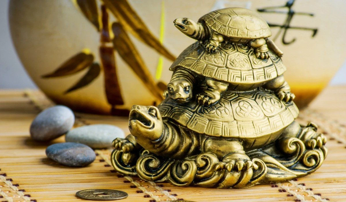 Vastu Shastra: el lugar donde pongas tu Tortuga atraerá fortuna o deudas - image 1