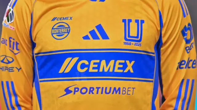 Camiseta del Tigres