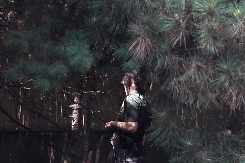 A worker inside the cage at Palic Zoo looks among trees for Feliks, 24 June, 2026