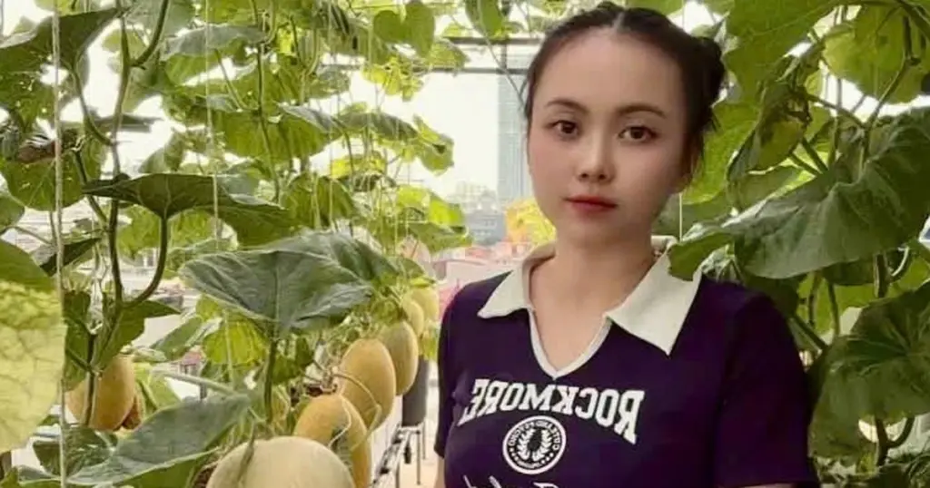 100 piezas de Sandía en tu azotea: el método de la Señora Quynh para cosechar oro verde