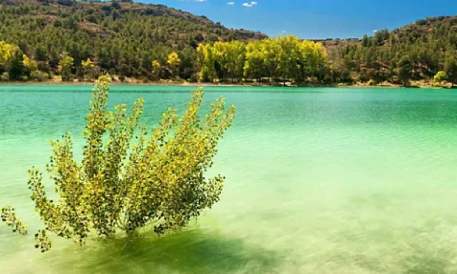 Foto: El oasis de Castilla-La Mancha donde darte un chapuzón. (Turismo de Castilla-La Mancha)