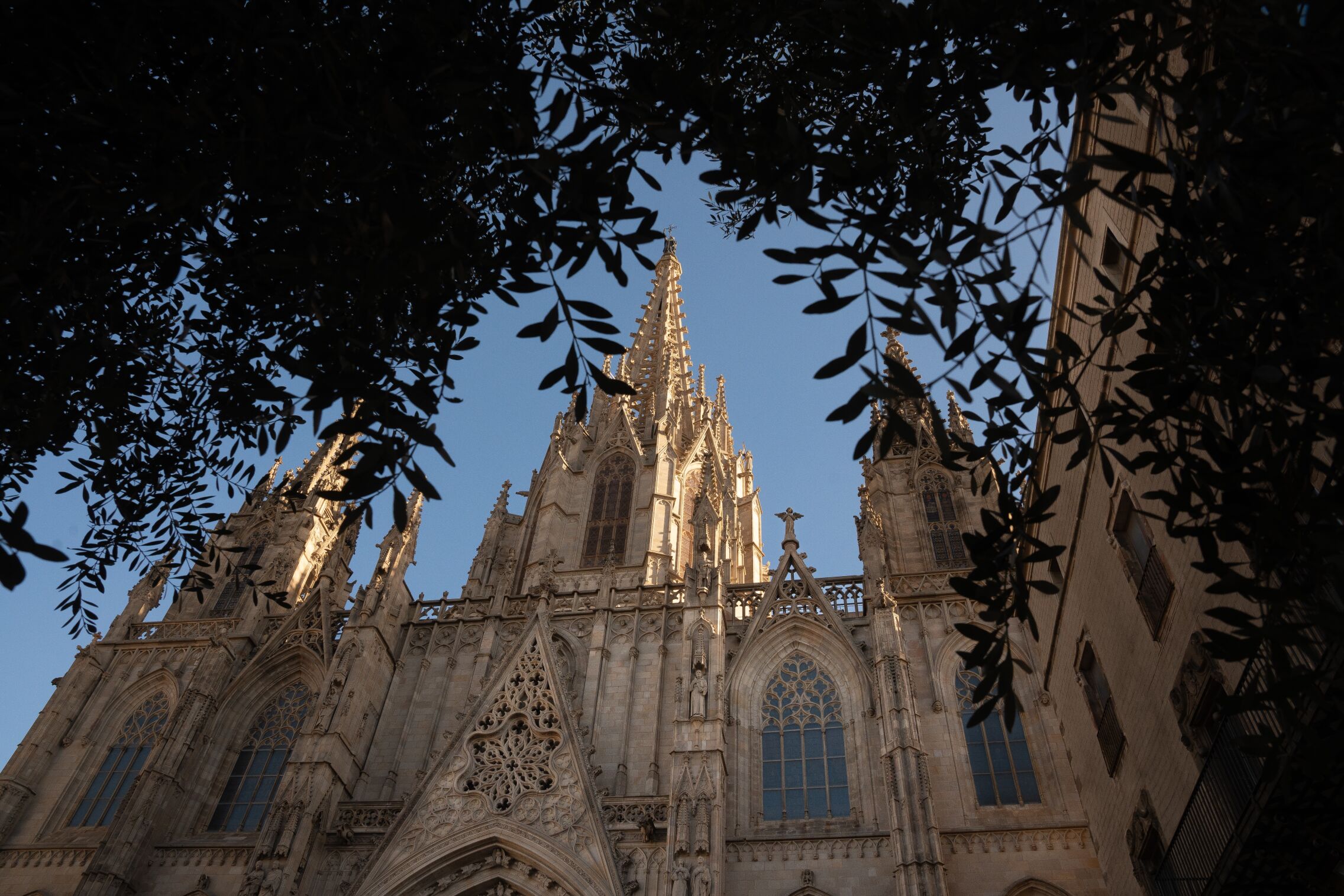 Foto: La imponente catedral gótica del corazón de Barcelona se prepara para vivir una jornada histórica con la llegada de León XIV. (Europa Press)
