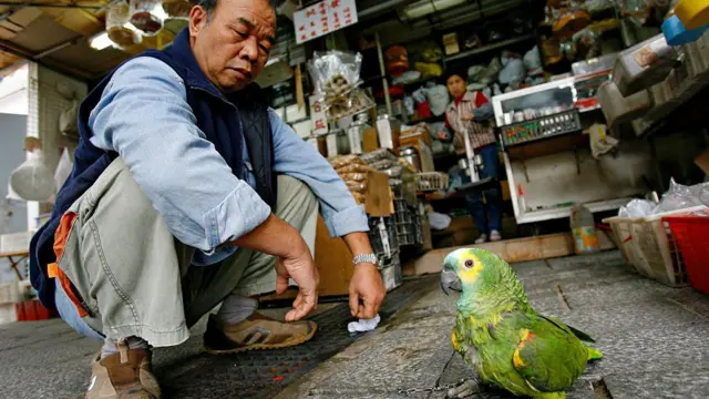 Un hombre mayor se pone en cuclillas frente a una pequeña tienda mirando a un loro verde que está parado a pocos centímetros de él. El pájaro tiene marcas amarillas alrededor del ojo y las plumas.