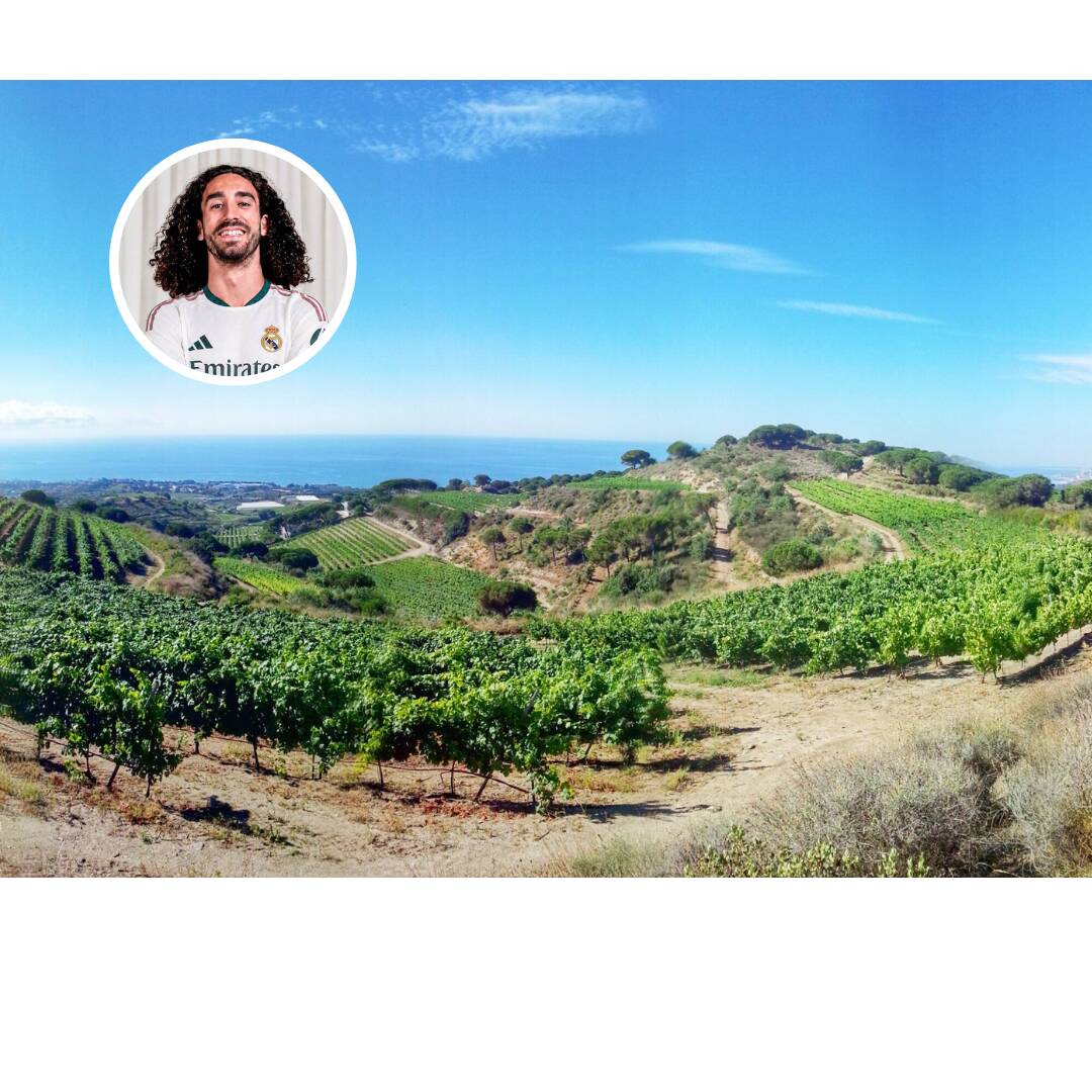 Foto: Este municipio del Maresme ha hecho de la cultura del vino una de sus principales señas de identidad. (Mi nube/Archivo)